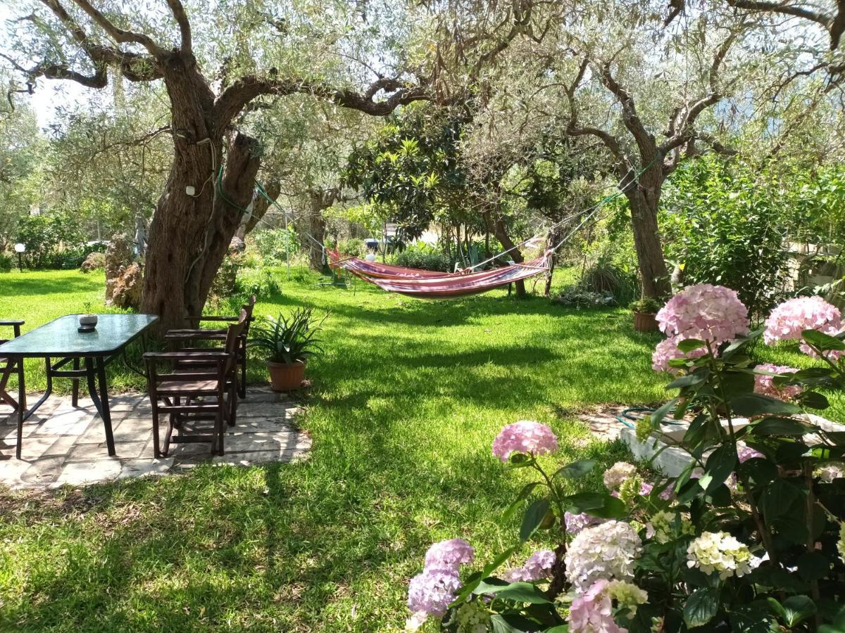 Olive Garden Villas And Apartments Chrysi Ammoudia Room photo