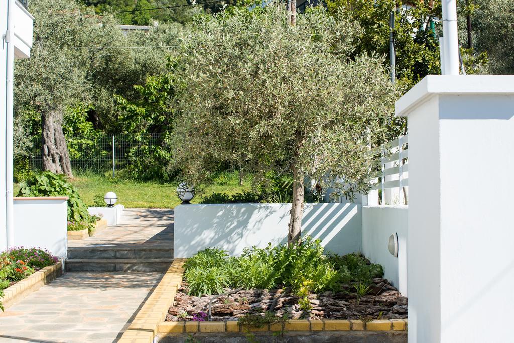 Olive Garden Villas And Apartments Chrysi Ammoudia Exterior photo